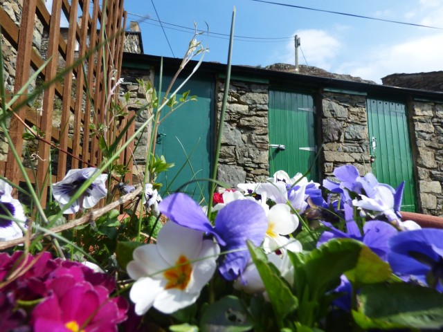 Spring Colours in the Garden of 1 Helvellyn Cottage